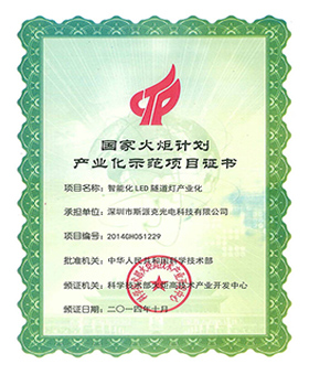 Сертификат демонстрационного проекта индустриализации Национальной программы факела