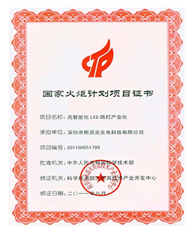 Сертификат проекта Национальной программы факела